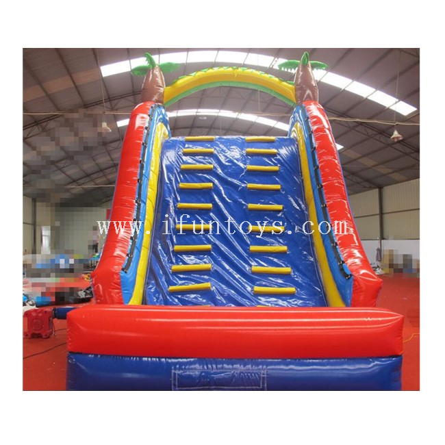 Tropical Theme Inflatable Water Slide with Swimming Pool / Inflatable Pool Slide with Climbing Wall for Sale
