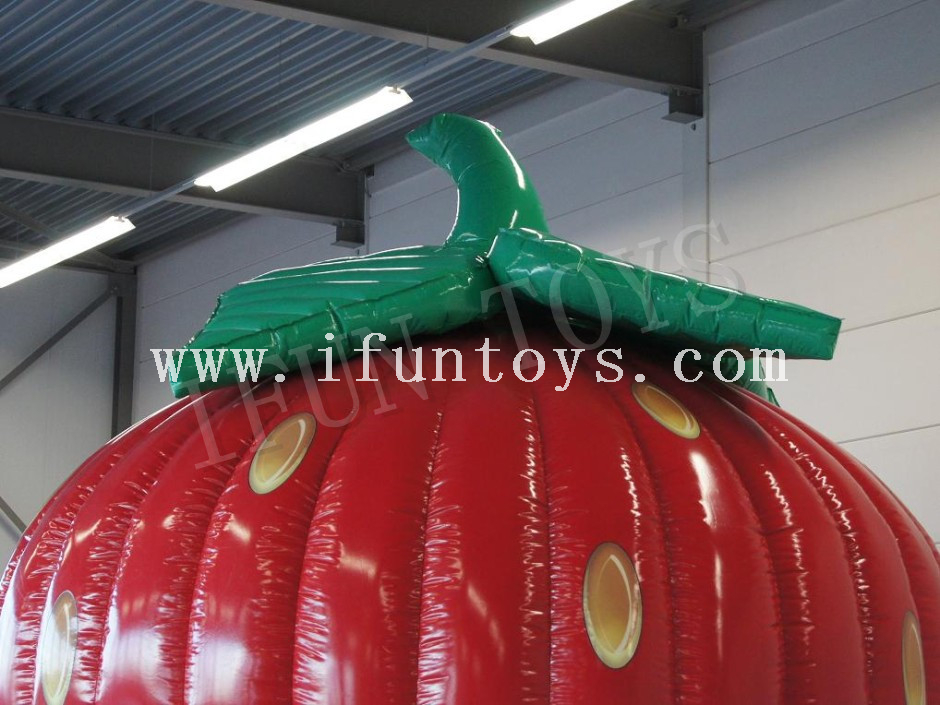 Inflatable Strawberry Bounce House / Jumping Castle for Party