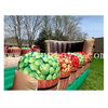 Interactive Bobbing Apples Inflatable Bungee Game / Inflatable Bungee Run for Apples 