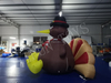 Giant Inflatable Turkey for Thanksgiving Decoration