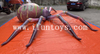 Inflatable Halloween Spider / Roof Decoration Large Spider for Halloween