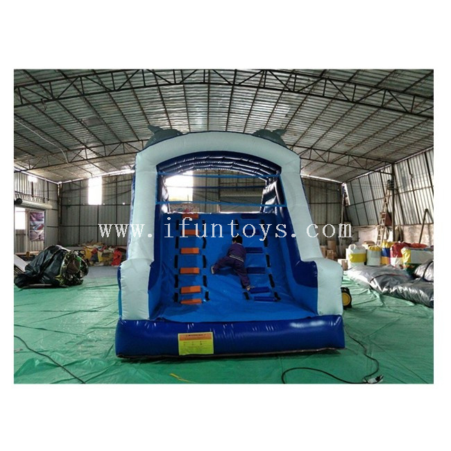 Dolphin Inflatable Swimming Pool Slide / Water Slide for Inground Pool / Slip And Slide for Swimming Pool